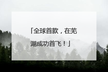 全球首款，在芜湖成功首飞！